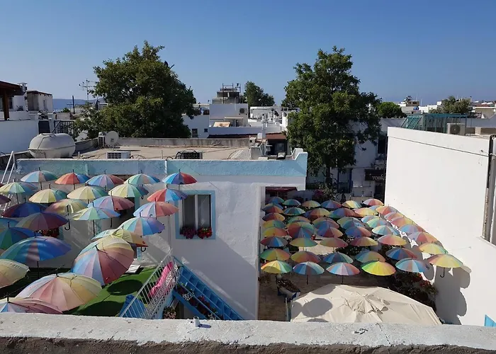 Hotel Duru *